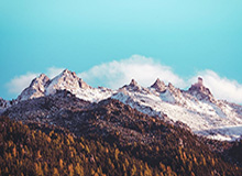 主场告别战破门！阿尔马达突破造点，梅西让点奥塔门迪主罚命中